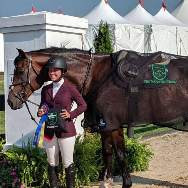 Horses for Sale in Southern New Jersey